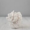 Silk Cocoons White - Image 2